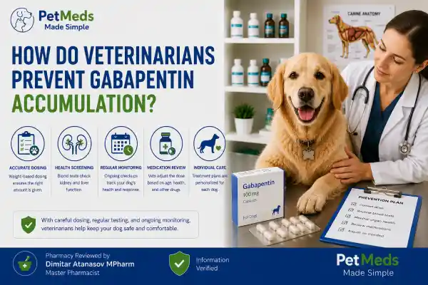 Does Gabapentin Build Up in a Dog's System