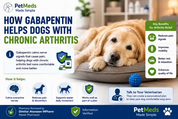 Can Dogs Take Gabapentin for Arthritis Forever