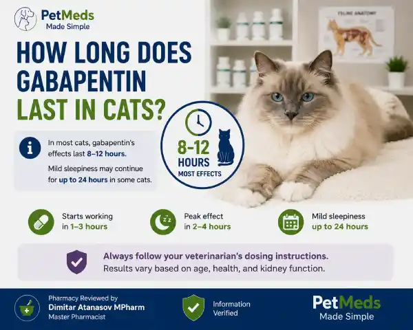 How Long Does Gabapentin Last in Cats