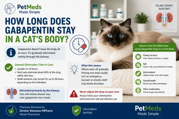 Can Cats Miss a Dose of Gabapentin