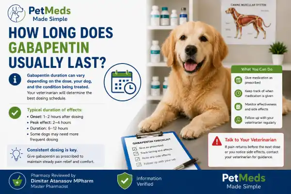 Why Is My Dog Crying Before the Next Gabapentin Dose