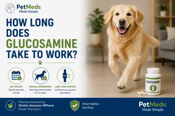 Can Dogs Take Glucosamine With NSAIDs?