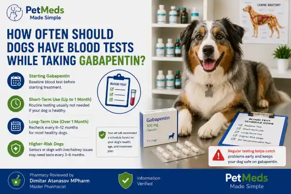 How Often Should Dogs Have Blood Tests While Taking Gabapentin