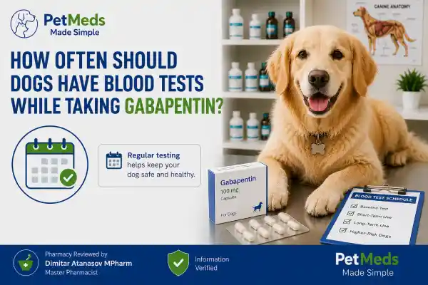 How Often Should Dogs Have Blood Tests While Taking Gabapentin