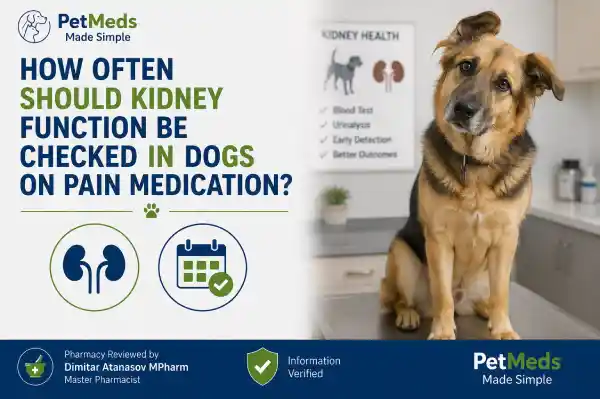 How Often Should Kidney Function Be Checked in Dogs on Pain Medication?