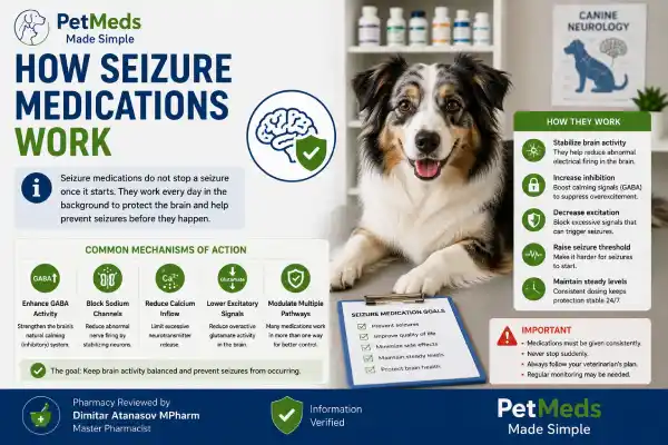 Can Dogs Miss a Dose of Seizure Medication