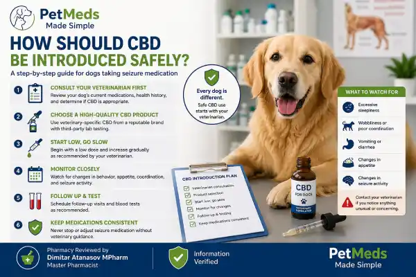 Can Dogs Take CBD With Seizure Medication