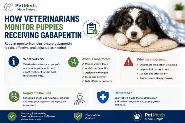 Can Puppies Take Gabapentin Safely?