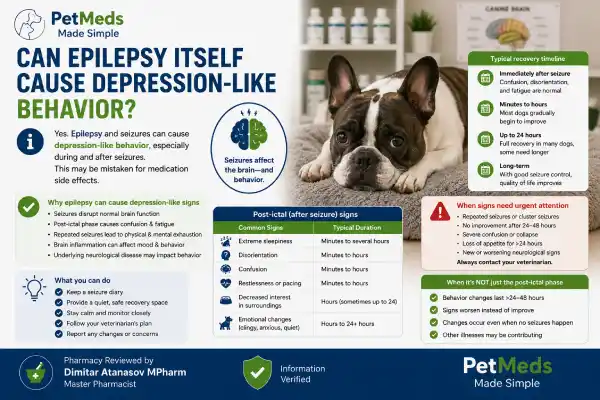 Can Seizure Medication Cause Depression in Dogs