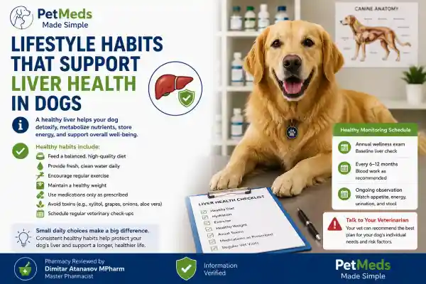 Can Gabapentin Affect Liver Enzymes in Dogs