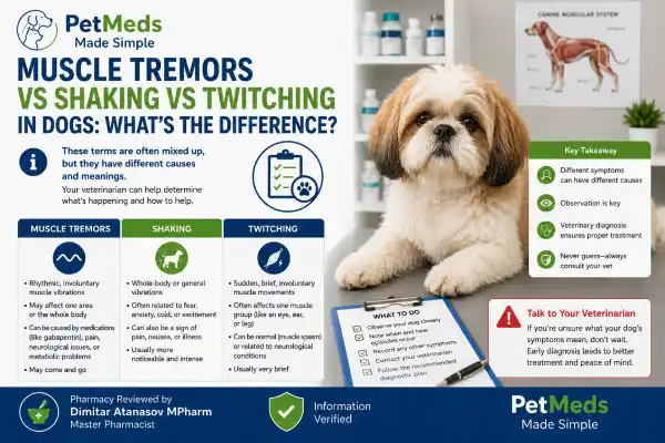Can Gabapentin Cause Muscle Tremors in Dogs