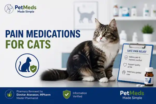 Pain Medications for Cats