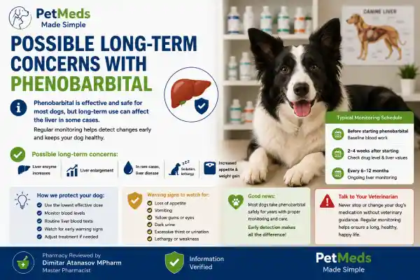 Can Dogs Take Seizure Medication Long-Term Safely