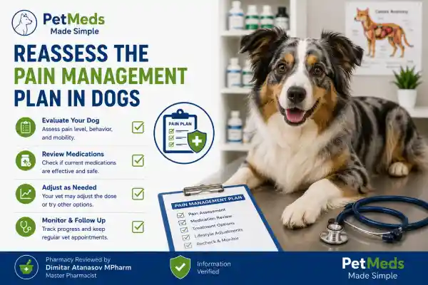 Can Gabapentin Cause Weight Gain in Dogs