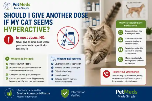 Can Gabapentin Cause Hyperactivity in Cats
