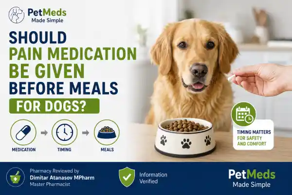 Should Pain Medication Be Given Before Meals for Dogs?