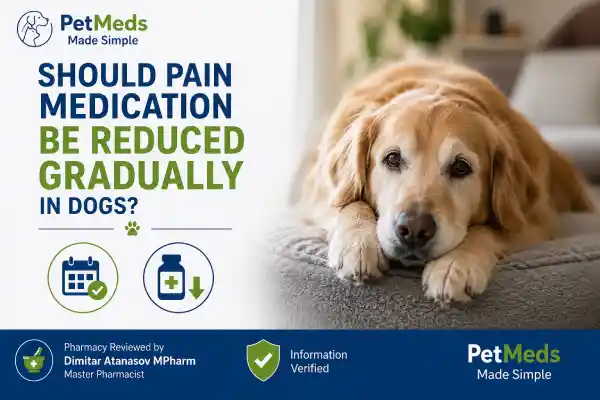 Should Pain Medication Be Reduced Gradually in Dogs?