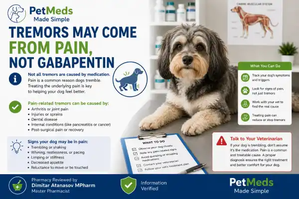 Can Gabapentin Cause Muscle Tremors in Dogs
