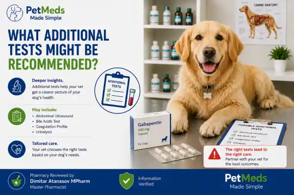 How Often Should Dogs Have Blood Tests While Taking Gabapentin