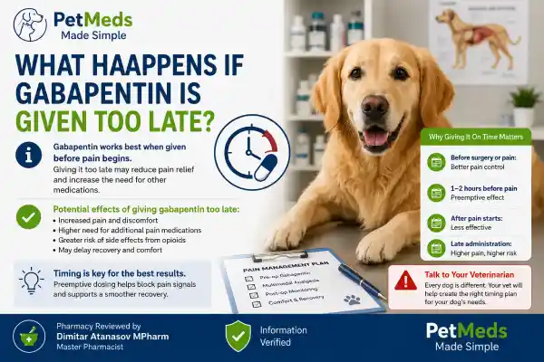 What Happens If Gabapentin Is Given Too Late