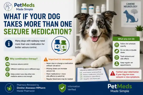 Can Dogs Miss a Dose of Seizure Medication