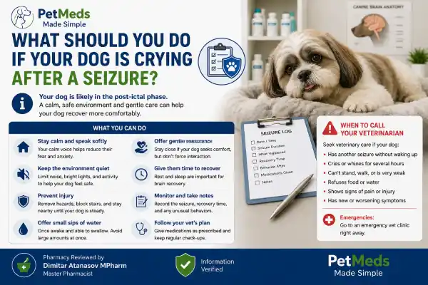 Why Is My Dog Crying After a Seizure