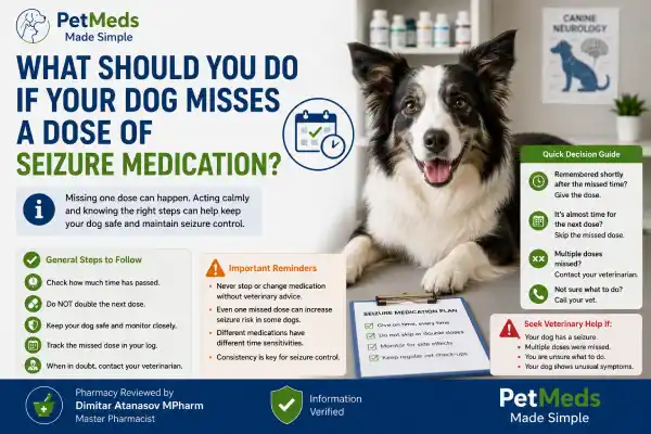 Can Dogs Miss a Dose of Seizure Medication