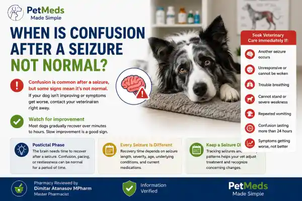 Why Is My Dog Still Confused After a Seizure