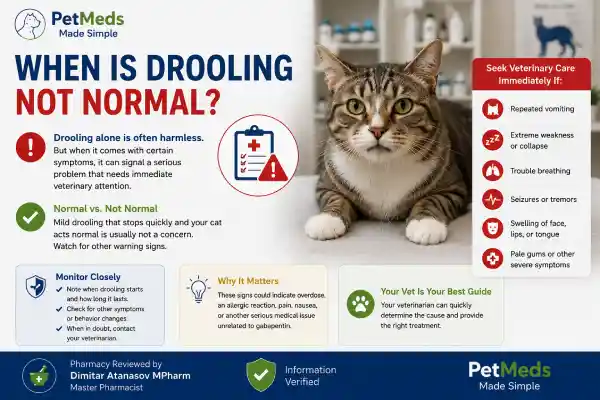 Why Is My Cat Drooling After Gabapentin