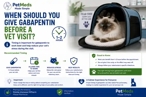 Can Cats Take Gabapentin Before Vet Visits