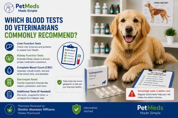 How Often Should Dogs Have Blood Tests While Taking Gabapentin