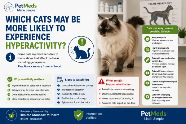 Can Gabapentin Cause Hyperactivity in Cats