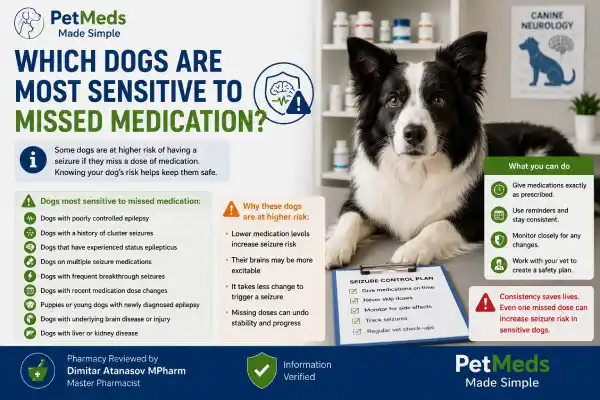 Can Dogs Miss a Dose of Seizure Medication
