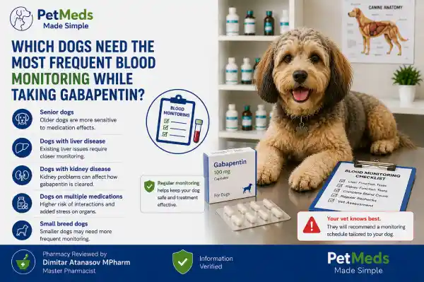 How Often Should Dogs Have Blood Tests While Taking Gabapentin