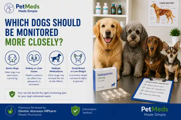Does Gabapentin Build Up in a Dog's System