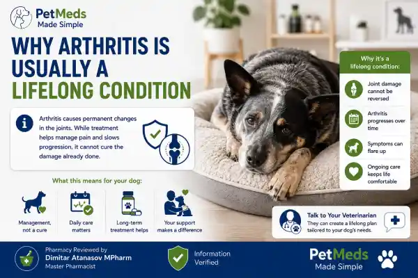 Can Dogs Take Gabapentin for Arthritis Forever