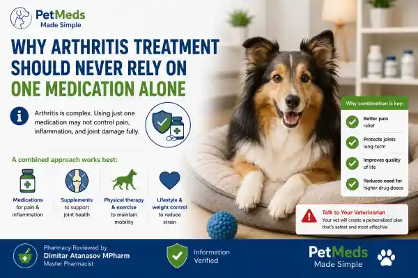 Can Dogs Take Gabapentin for Arthritis Forever