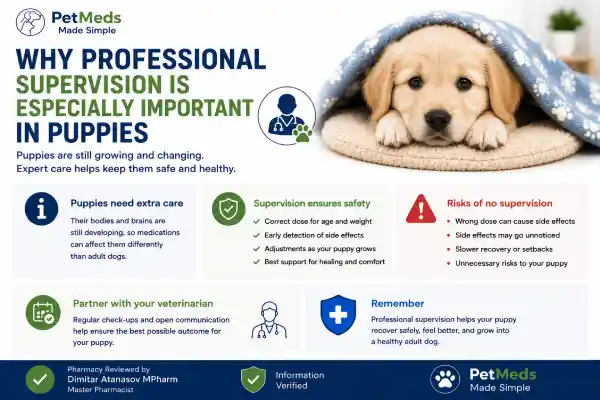 Can Puppies Take Gabapentin Safely?