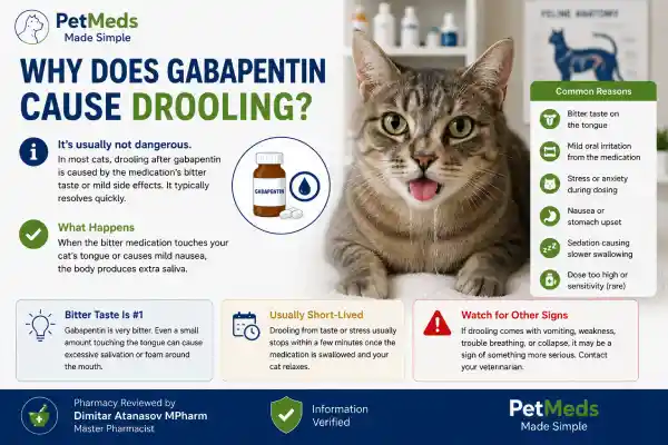 Why Is My Cat Drooling After Gabapentin