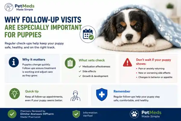 Can Puppies Take Gabapentin Safely?