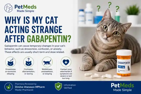 Why Is My Cat Acting Strange After Gabapentin
