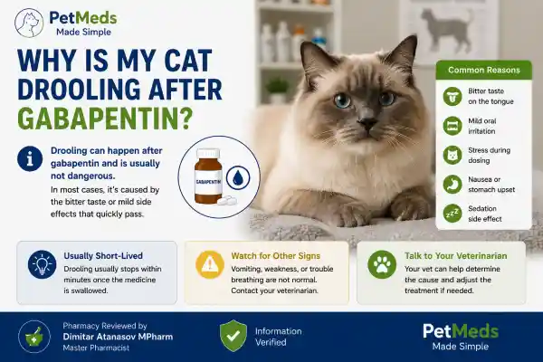 Why Is My Cat Drooling After Gabapentin