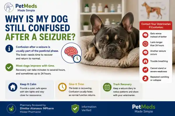 Why Is My Dog Still Confused After a Seizure