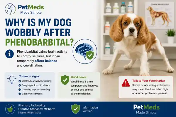 Why Is My Dog Wobbly After Phenobarbital