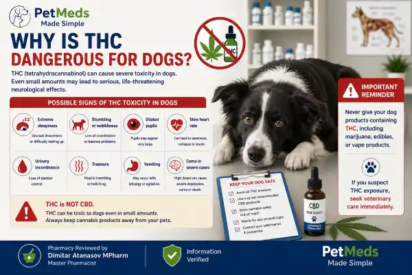 Can Dogs Take CBD With Seizure Medication