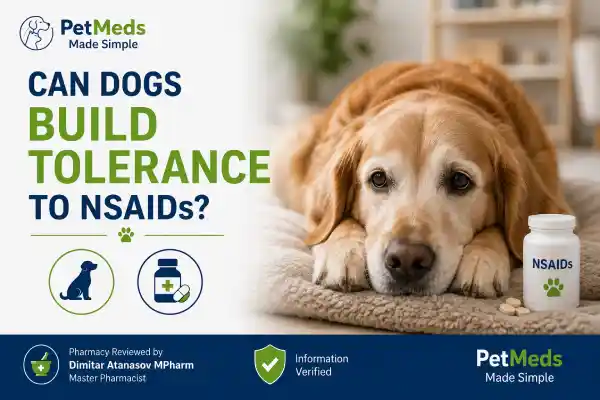 Can Dogs Build Tolerance to NSAIDs
